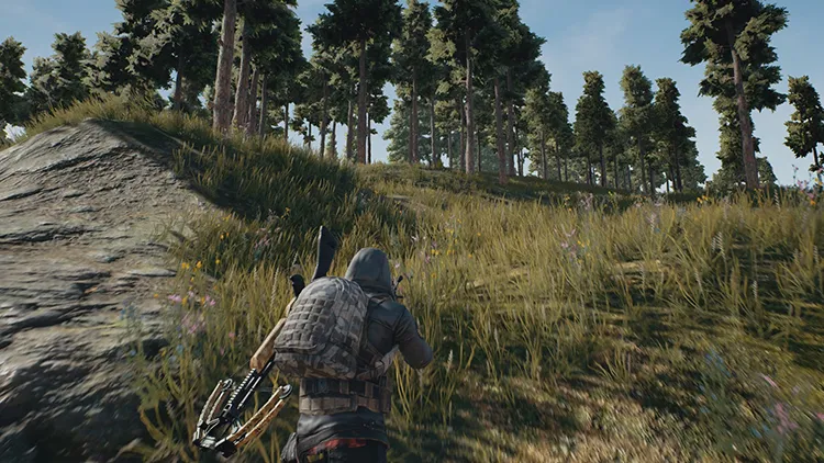 PUBG on PC