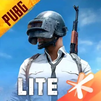 Download PUBG Lite For PC